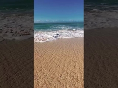 Zonas de juegos de juegos DTV eléctrico SCOOTER con pista ETV SNOWMOBILE ATV